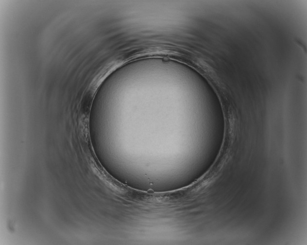 X0000101661369200807241408