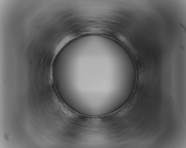 X0000101661370200807241408