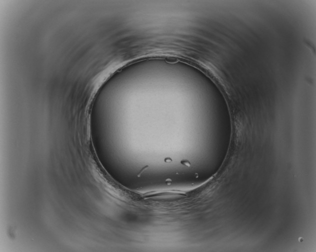 X0000101661371200807241408