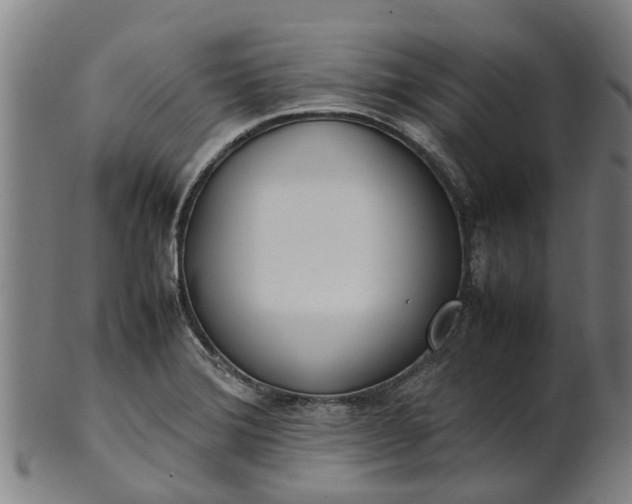 X0000101661372200807241408