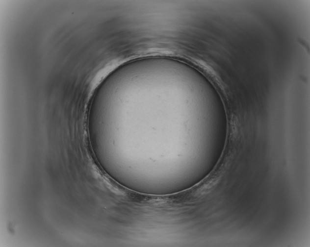 X0000101661373200807241408