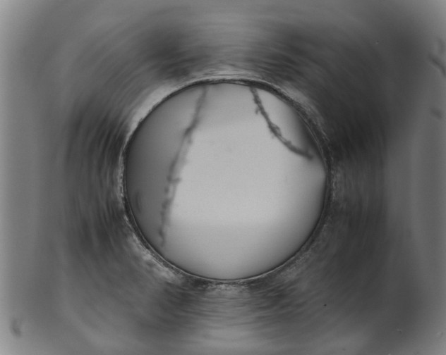 X0000101661374200807241408