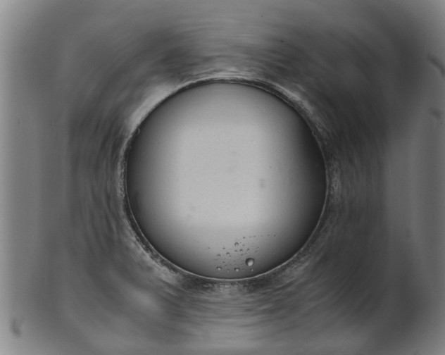 X0000101661375200807241408