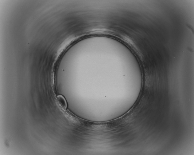 X0000101661376200807241408