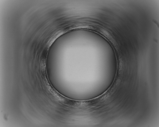 X0000101661377200807241408