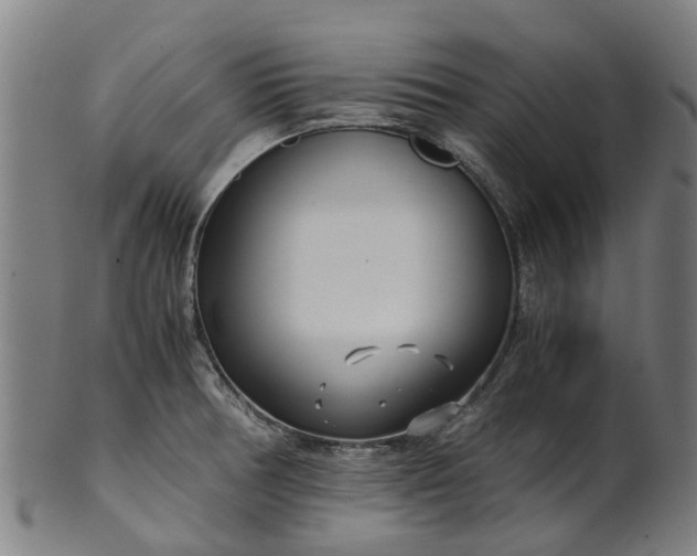 X0000101661378200807241408