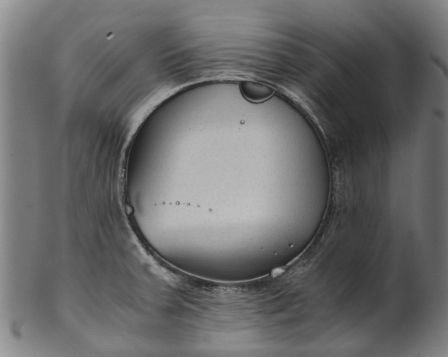 X0000101661379200807241408