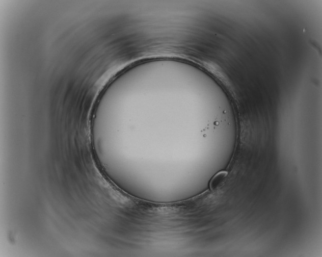 X0000101661380200807241408