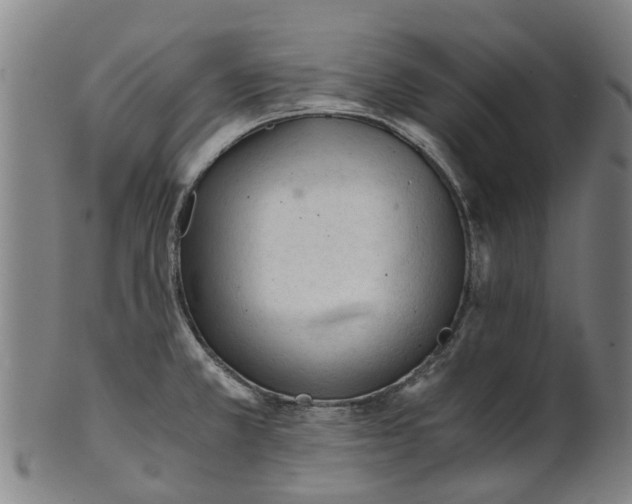 X0000101661381200807241408