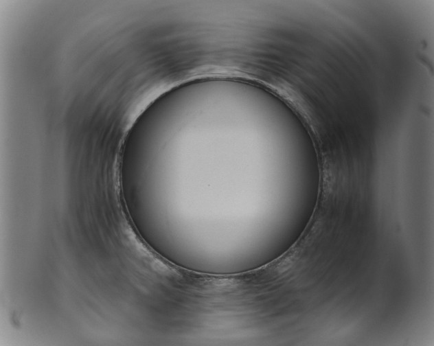 X0000101661382200807241408