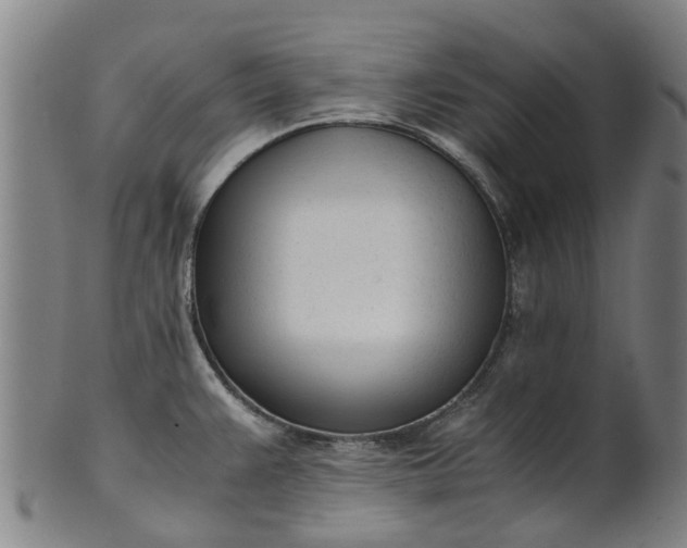 X0000101661383200807241408