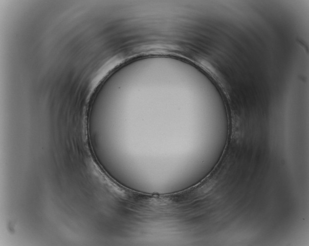 X0000101661384200807241408