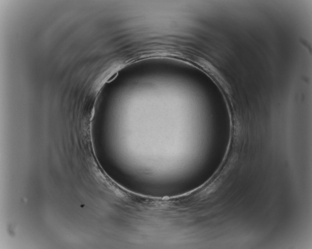 X0000101661385200807241408