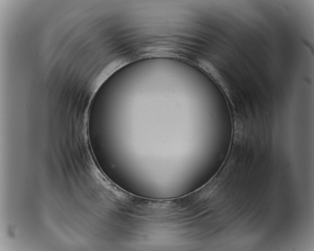 X0000101661386200807241408