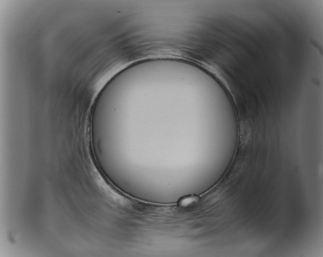 X0000101661387200807241408