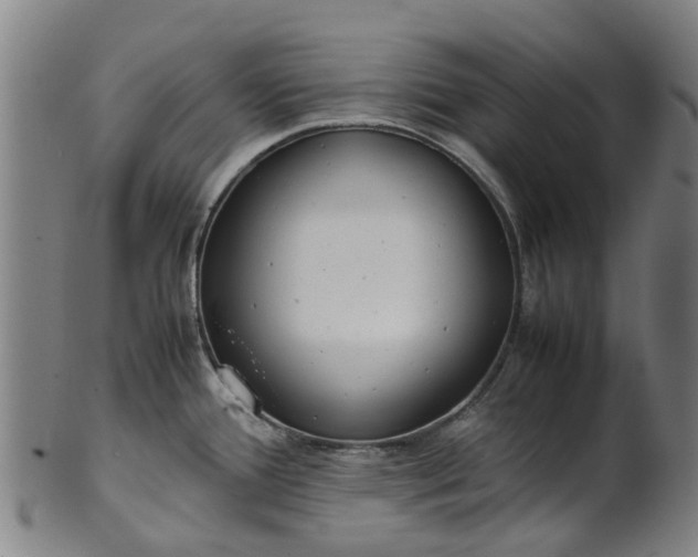 X0000101661388200807241408