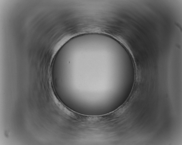 X0000101661389200807241408