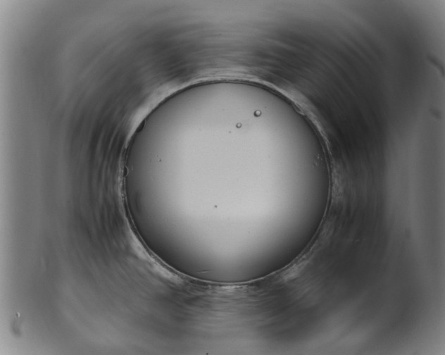 X0000101661390200807241408