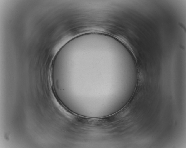 X0000101661391200807241408