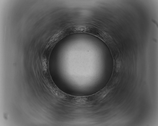 X0000101661394200807241407