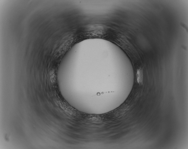 X0000101661395200807241407