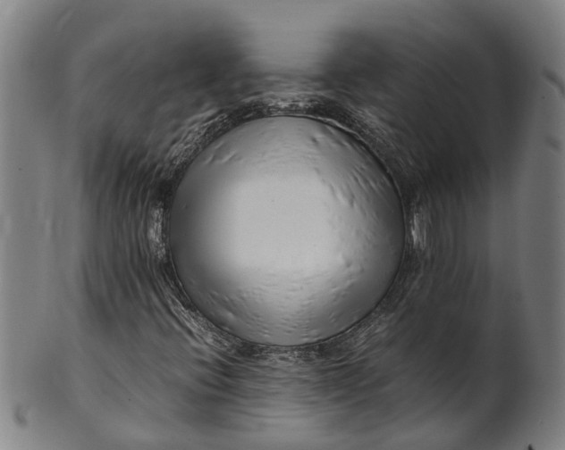 X0000101661396200807241407