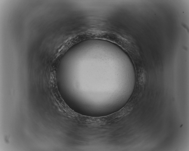 X0000101661397200807241407