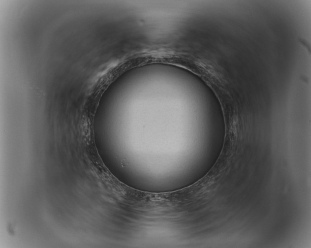 X0000101661398200807241407