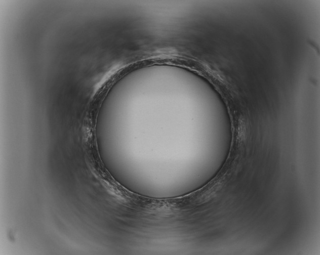 X0000101661400200807241407