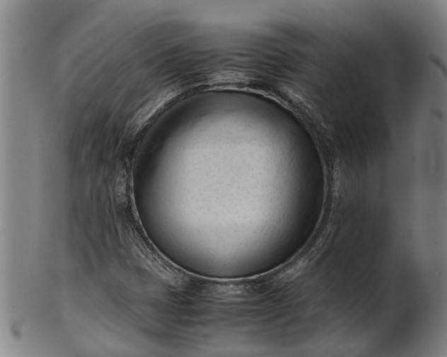 X0000101661401200807241407