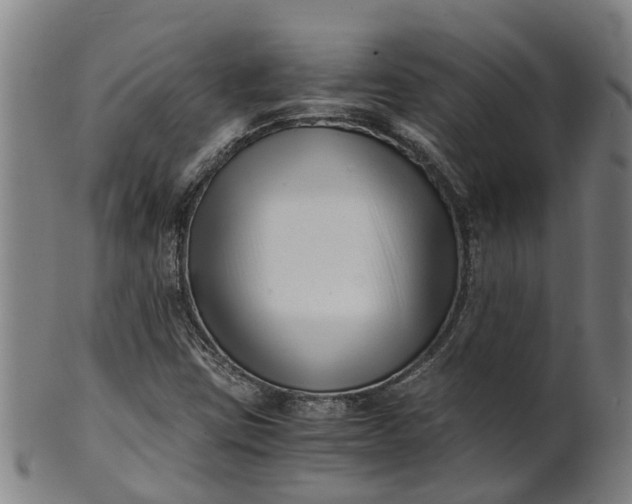 X0000101661403200807241407