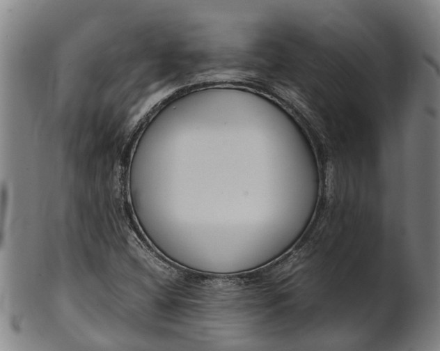 X0000101661404200807241407