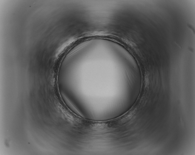 X0000101661406200807241407