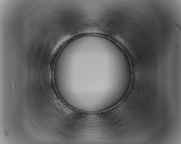 X0000101661408200807241407