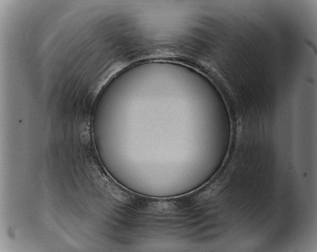 X0000101661409200807241407