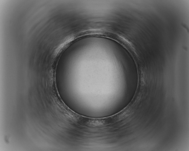 X0000101661411200807241407