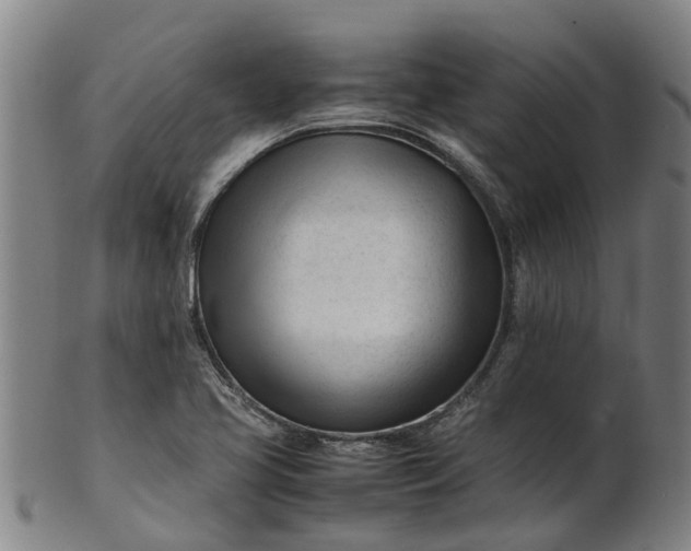 X0000101661413200807241407