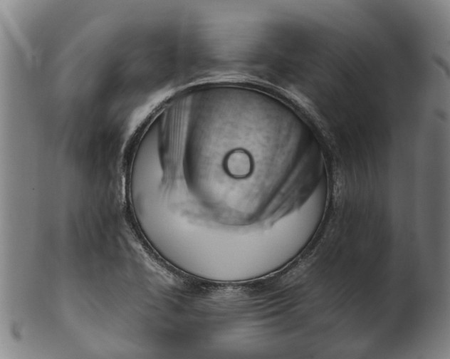 X0000101661414200807241407