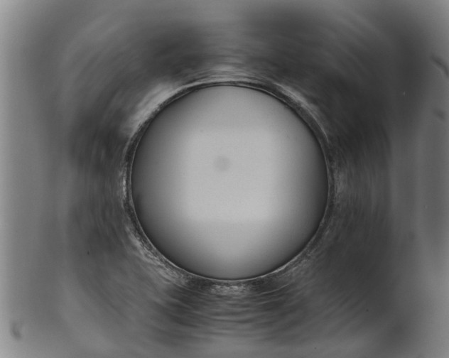 X0000101661415200807241407