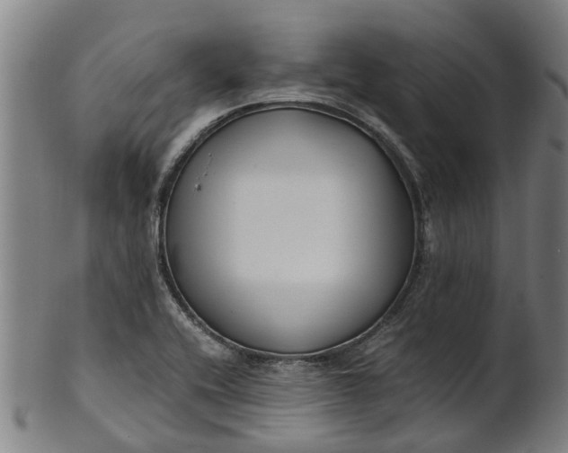 X0000101661416200807241407