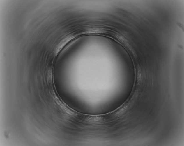 X0000101661417200807241407