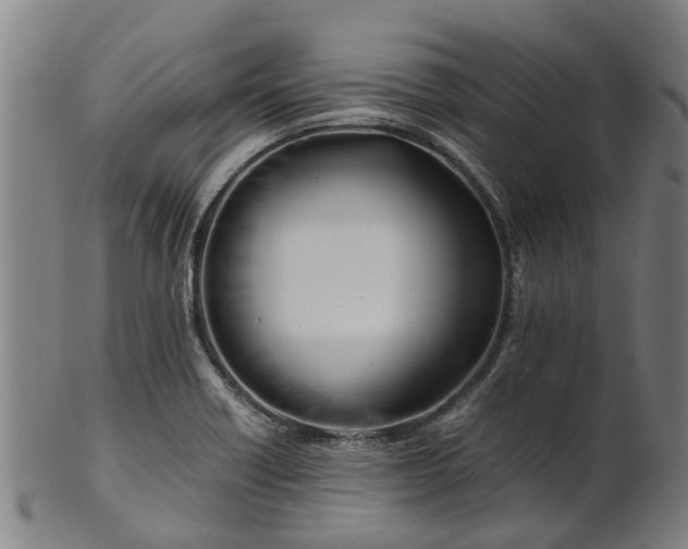 X0000101661418200807241407