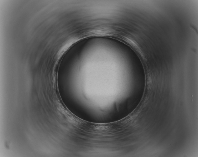 X0000101661419200807241407