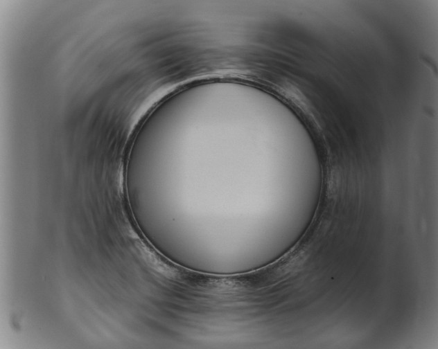 X0000101661420200807241407