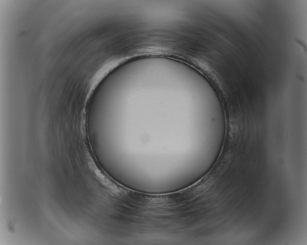 X0000101661421200807241407