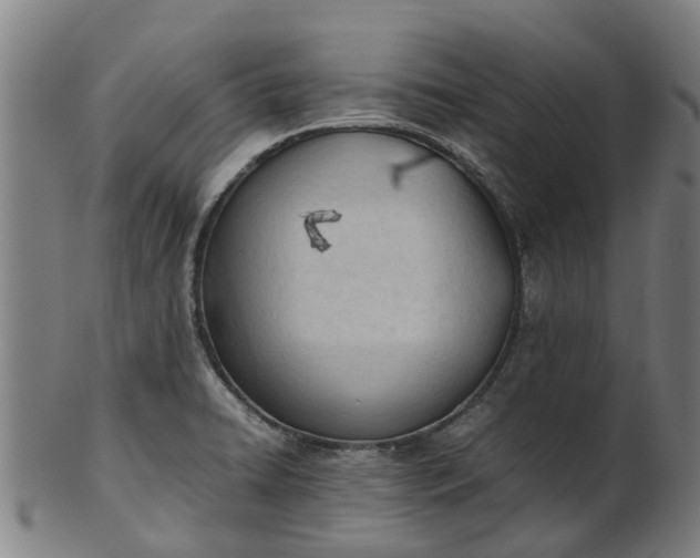 X0000101661422200807241407