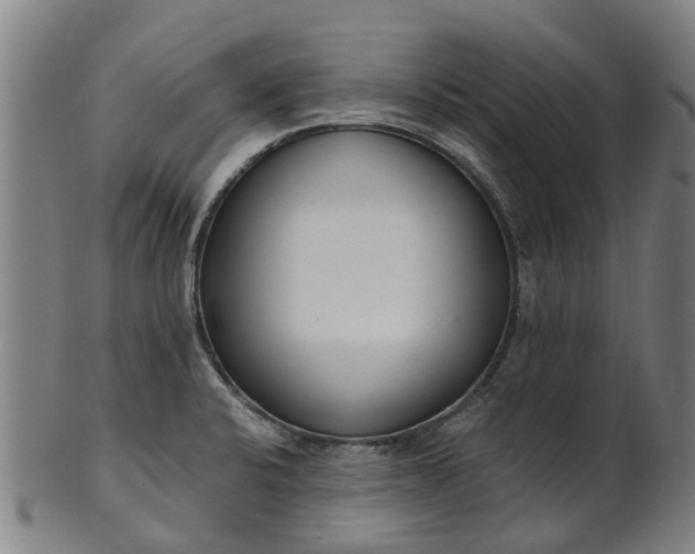 X0000101661424200807241407