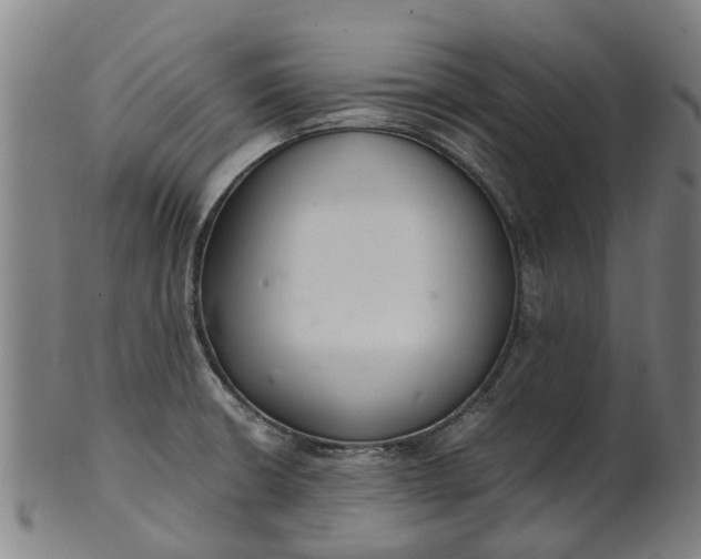 X0000101661426200807241407