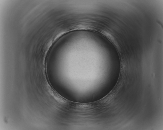 X0000101661427200807241407