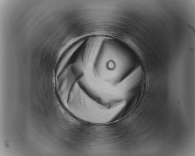 X0000101661428200807241408